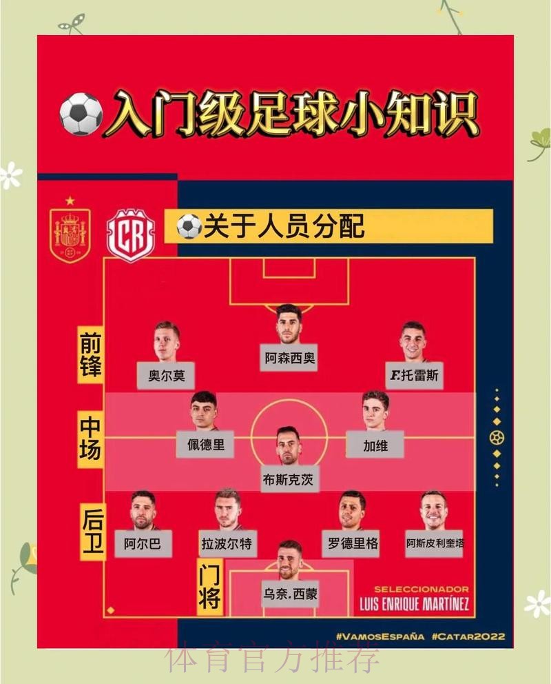 世界杯法国哈兰德比赛解读完整指南