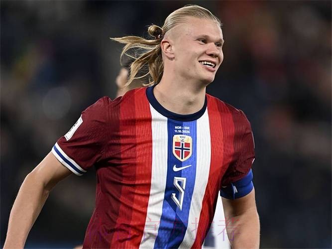 世界杯法国哈兰德比赛解读完整指南