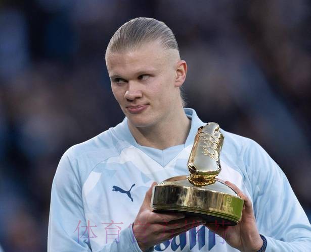 世界杯法国哈兰德比赛解读完整指南